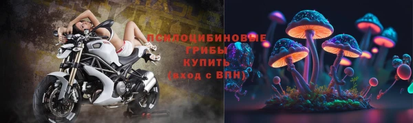 мяу мяу мука Арсеньев