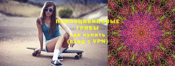 бошки Аркадак