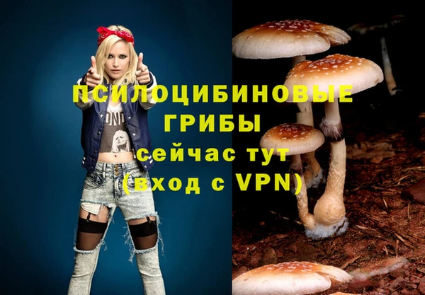 мяу мяу мука Арсеньев